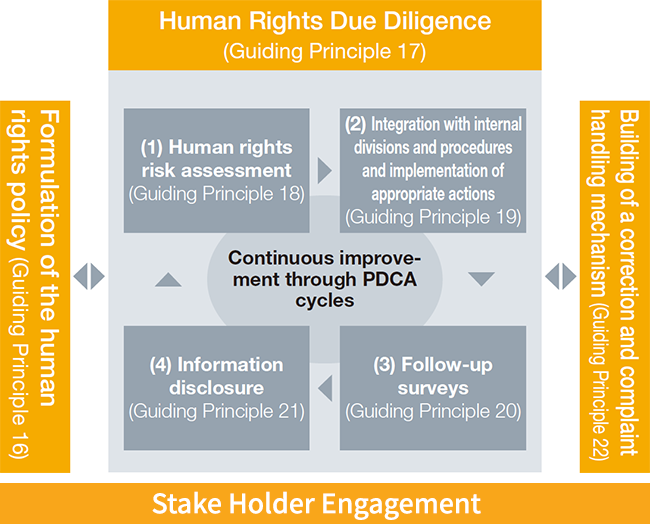 Cycle of human rights initiatives