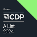 CDP A LIST 2024 FORESTS