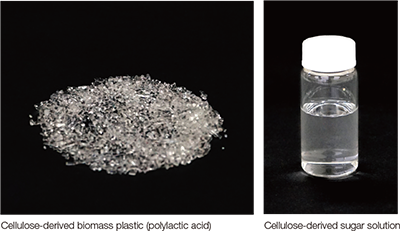 Cellulose-derived biomass plastic (polylactic acid), Cellulose-derived sugar solution