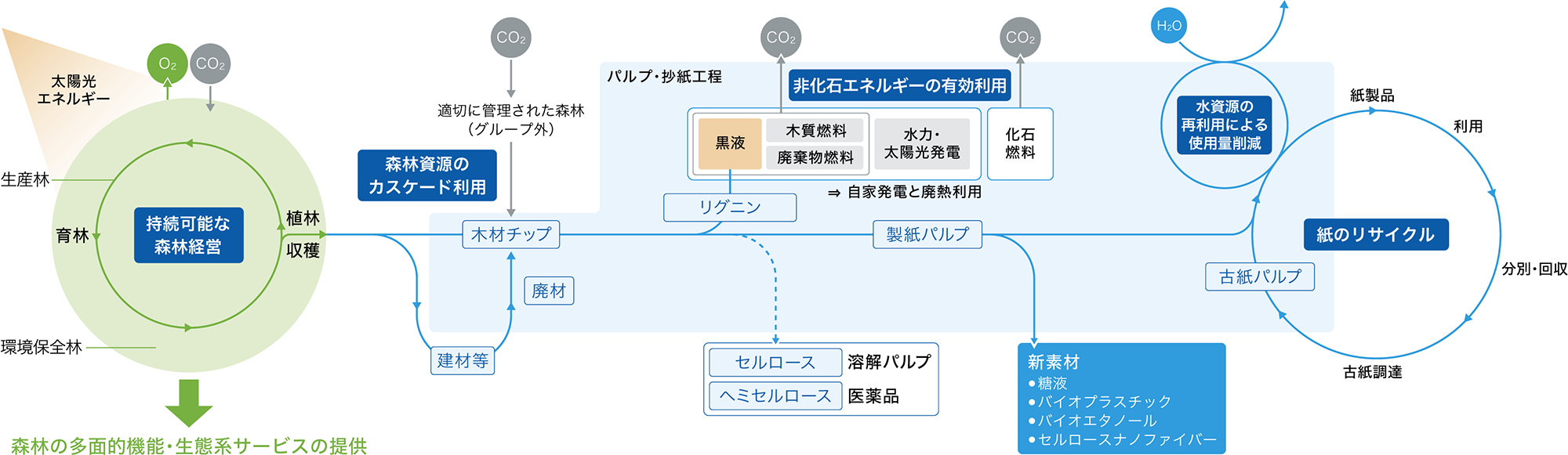 サステナビリティ戦略