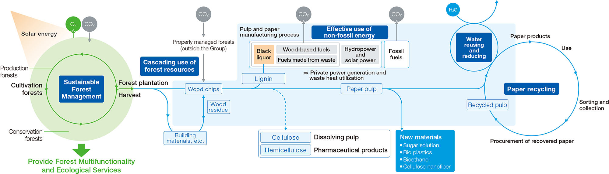 Sustainability Strategy