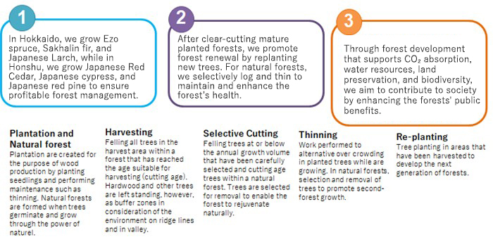 Fundamental Policy concerning Company-owned Forests Management