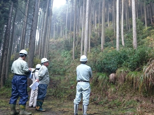 Inspection for SGEC certification of Mimasaka mountain forest (Okayama)