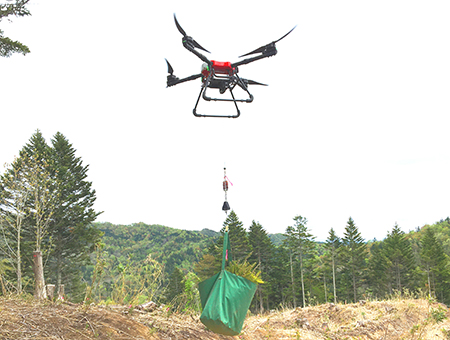 Transportation of seedlings using a drone