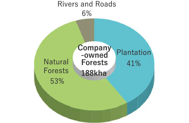 Breakdown of Artificial Forests, Breakdown of Natural Forests