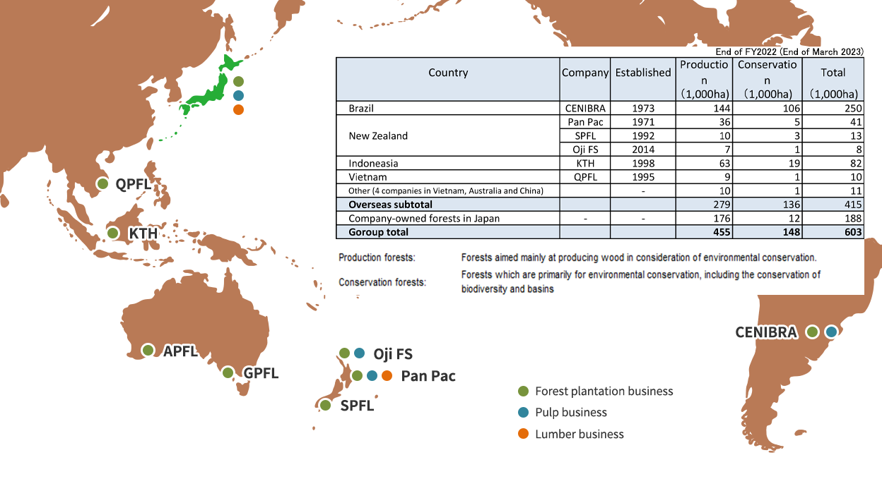 Overview of the Overseas Forest Plantation Business