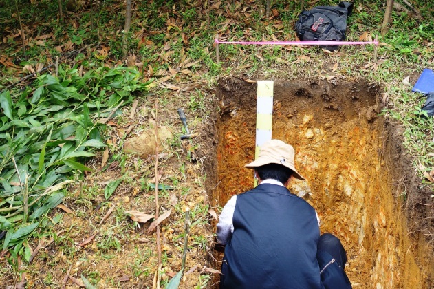 A soil survey conducted in an acacia plantation (Vietnam)