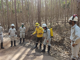 Fireﬁghting training by ﬁreﬁghters