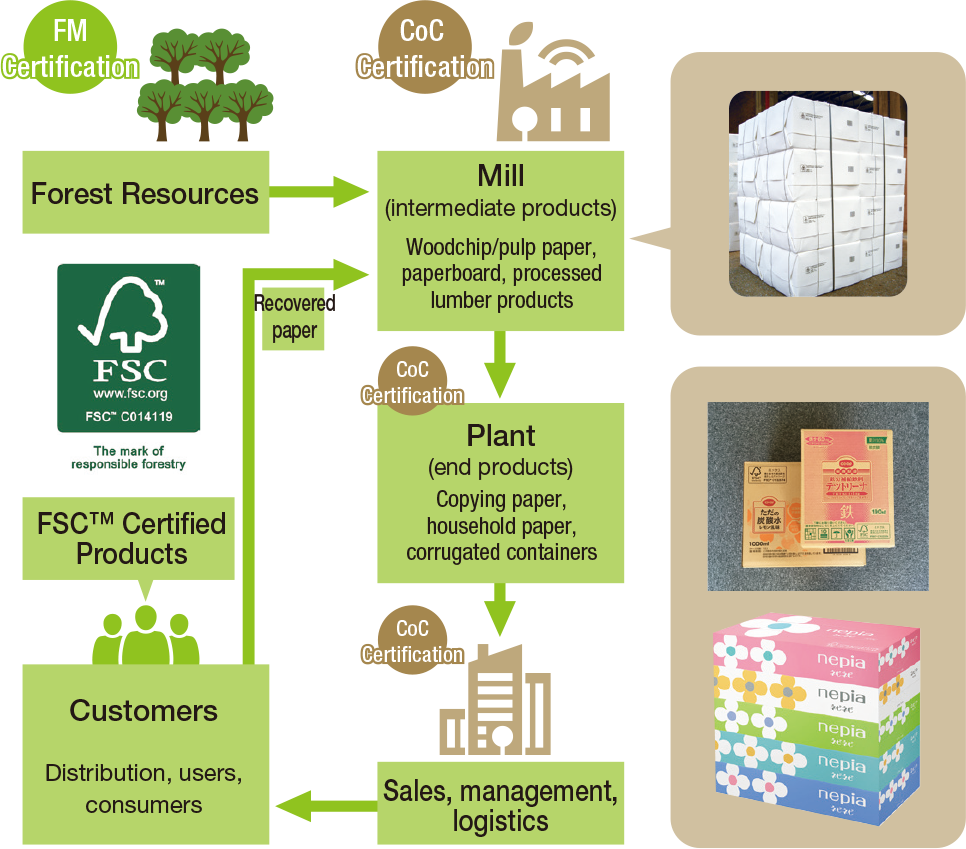 Forest Certifications Environment Oji Group Sustainability