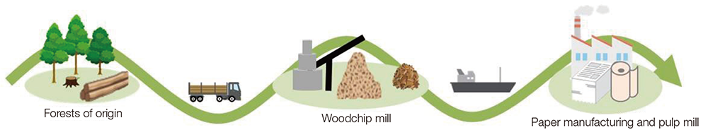 Wood Raw Material Procurement Guidelines | Environment | Oji Group ...