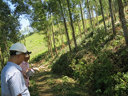 現地サプライヤーとの山林視察（ベトナム）