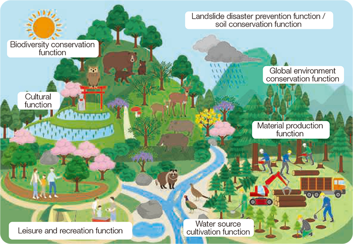 Abundant Forests Creation And Resource Recycling Abundant Forests abundant-forests-creation-and-resource-recycling-abundant-forests