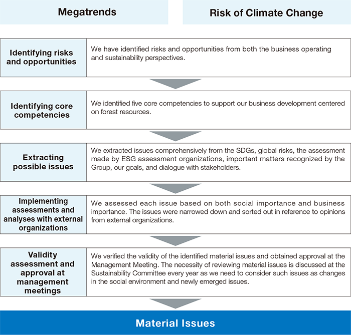 Process for Identifying Material Issues