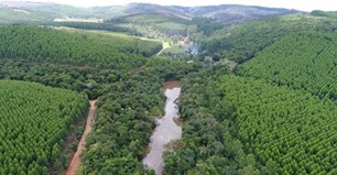 Construction of water reservoirs in the forest